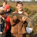 Thumb_crop_belvyiy-amur